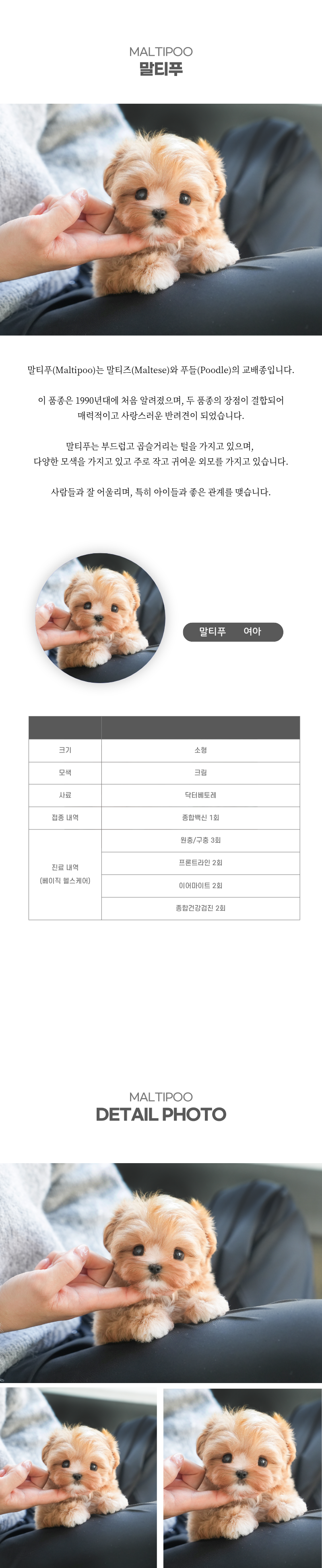 말티푸_상세이미지_2